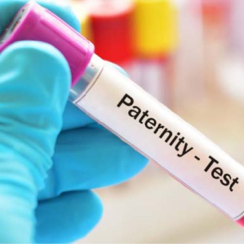 Paternity Fraud: Exploring The Legal, Ethical, and Social Dimensions of Paternity Fraud